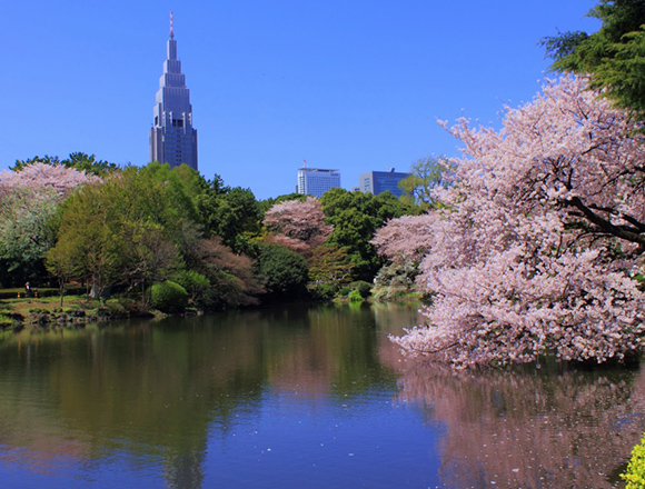 hanami