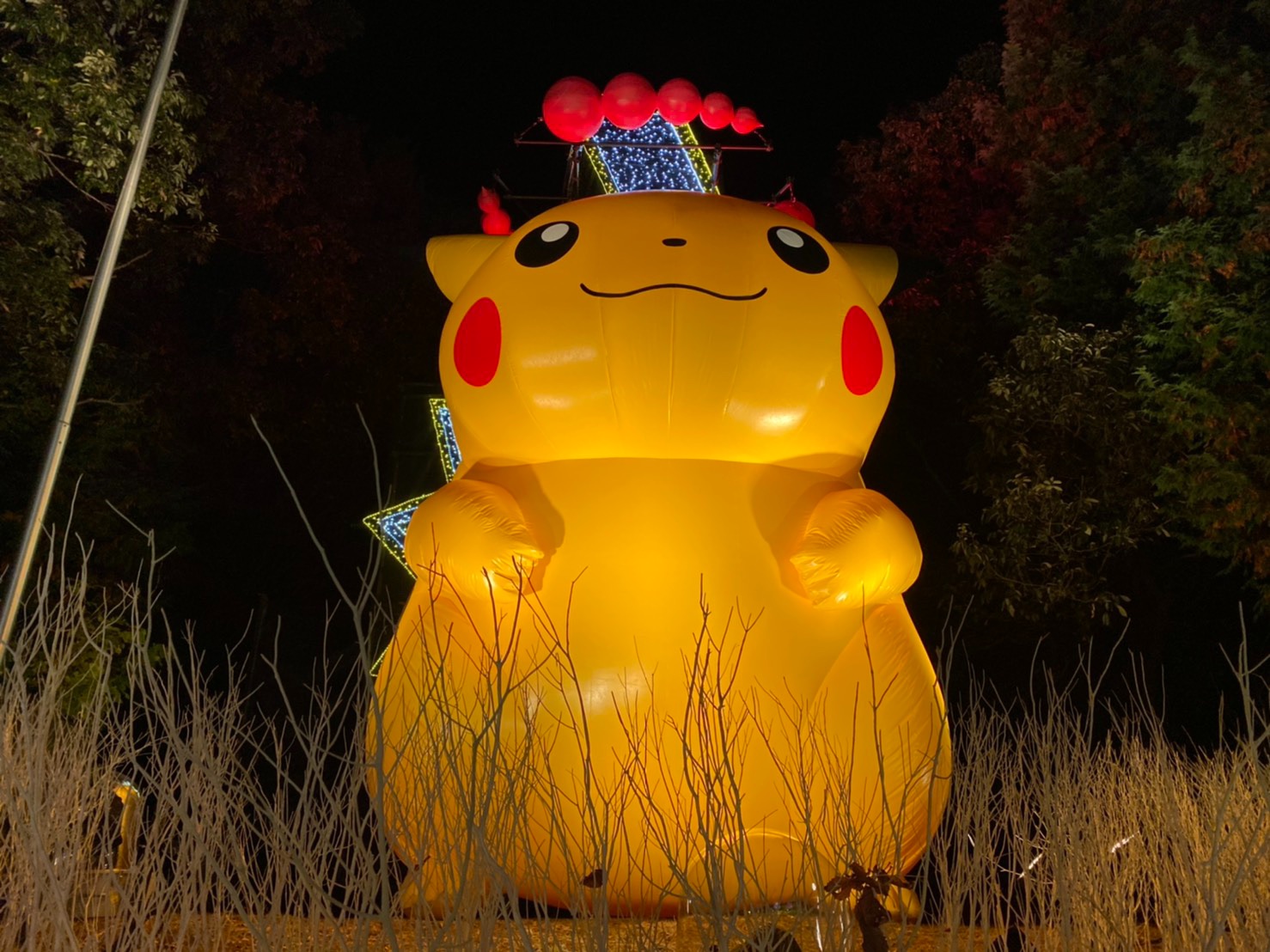 Pokemon Illumination Moshi Moshi