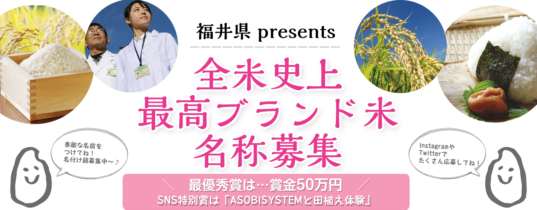 福井県 presents　全米史上最高ブランド米名称募集