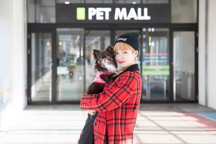 東京散步】帶著愛犬Mozuku也能逛的商店＆景點巡禮#2 寵物用品一應俱全的「Pecos 幕張新都心店」前篇| Moshi Moshi Nippon  | もしもしにっぽん