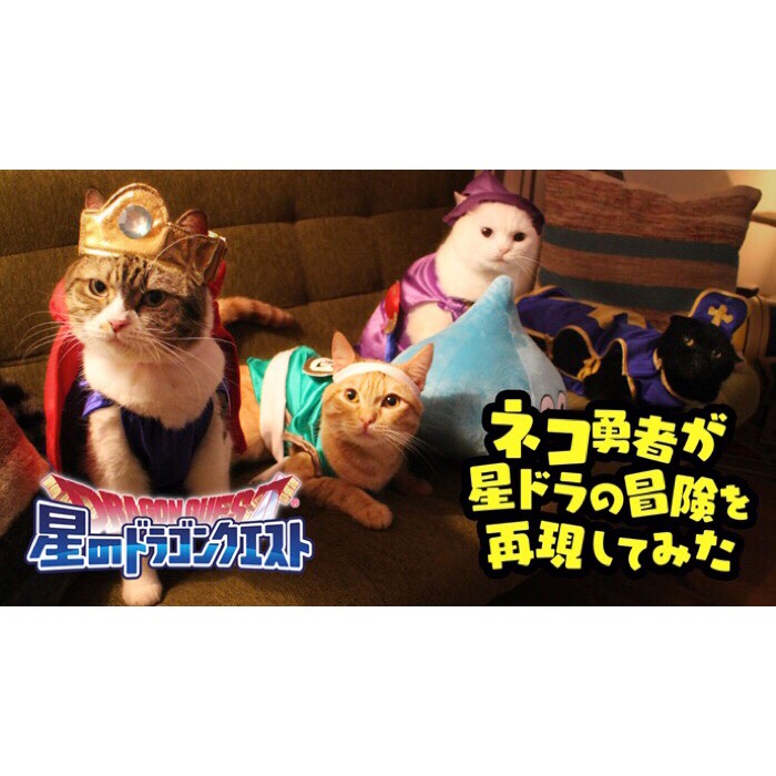 “Cat hero” will travel the world! The WEB movie of “Hoshino Dragon Quest” was released!