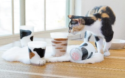ヴィレヴァンオンライン ここねこグラス