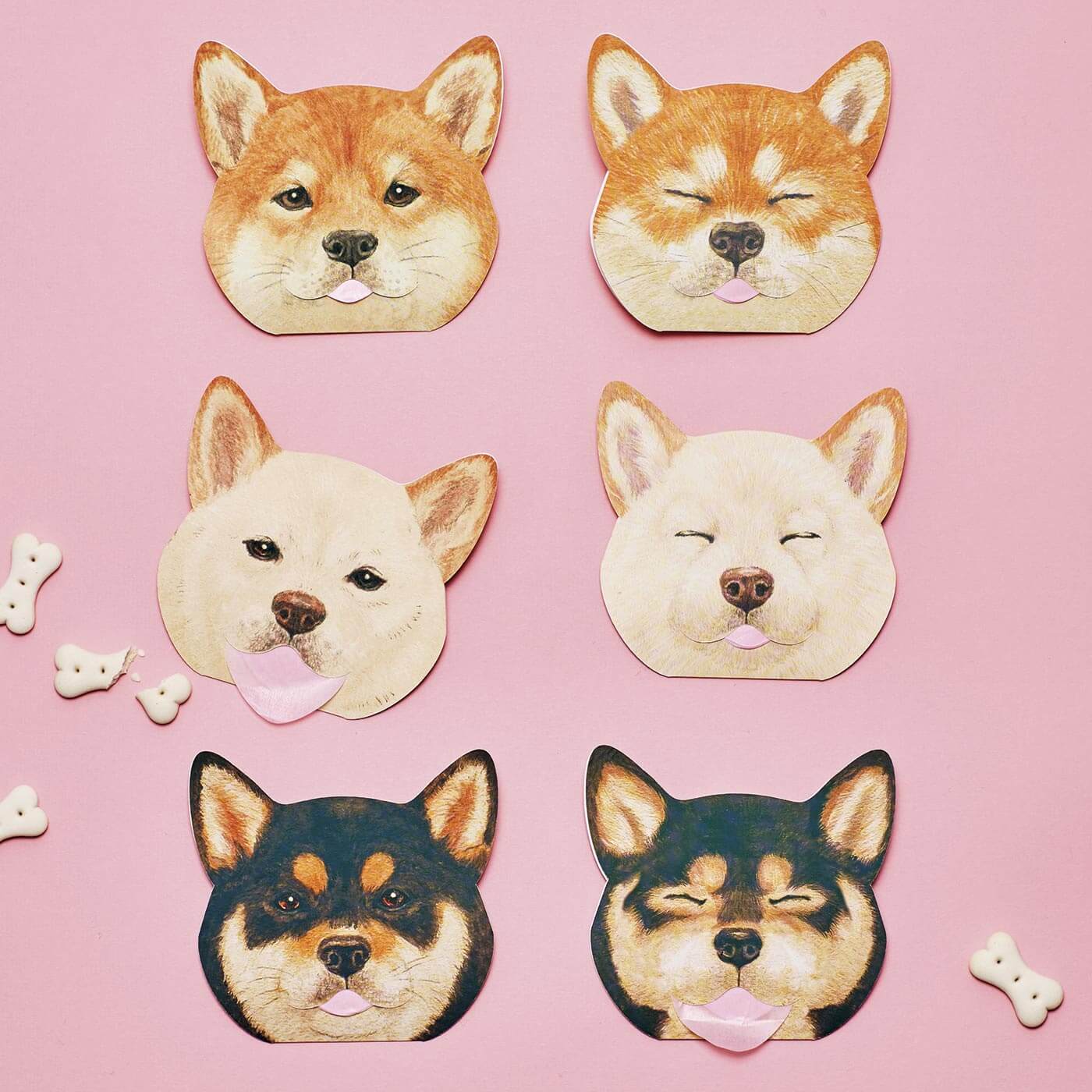 Shibainu