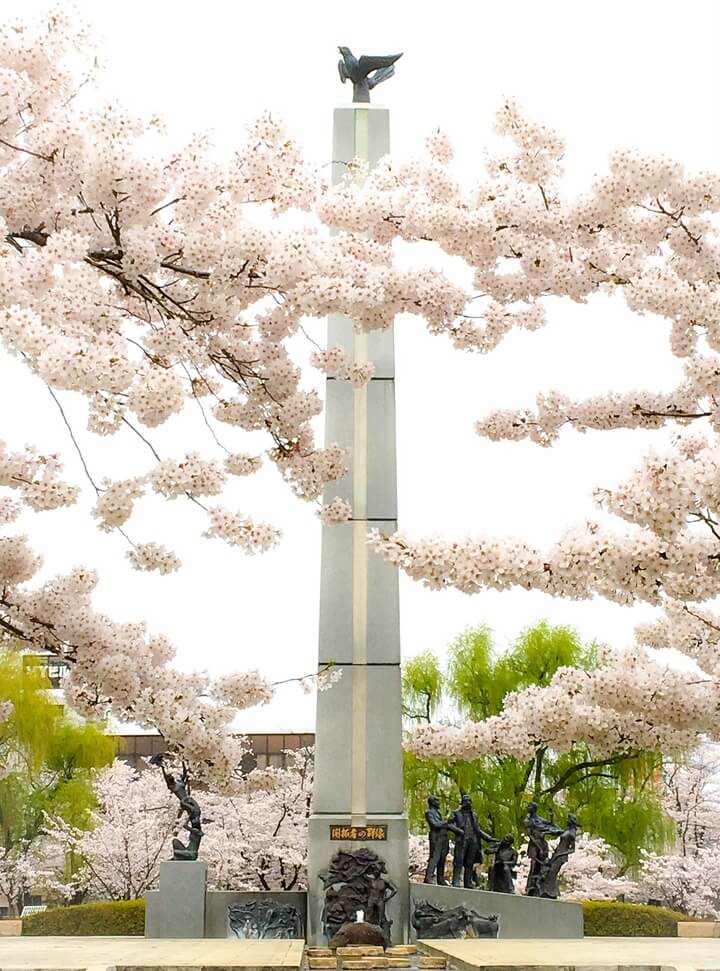 cherry-blossom viewing spots in Koriyama, Fukushima Prefecture