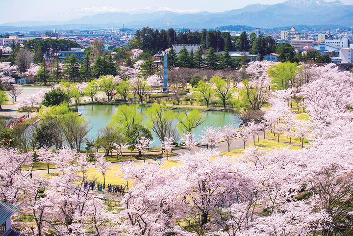 福島縣郡山市賞櫻