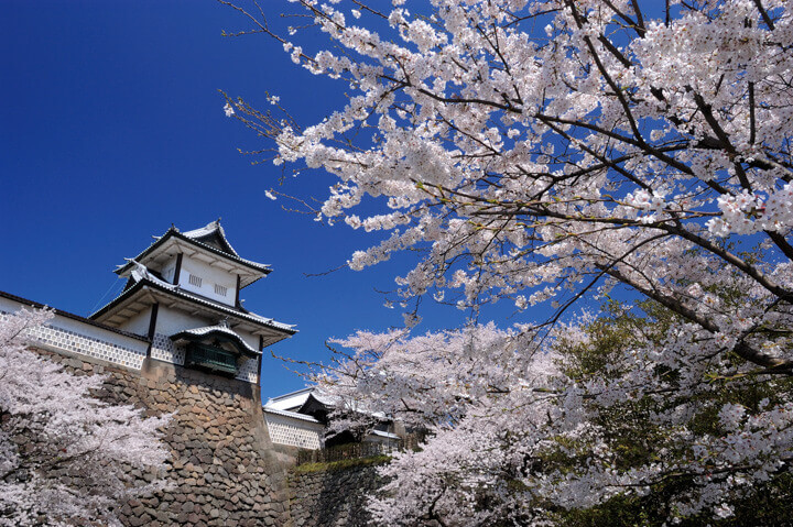 星野リゾート界 加賀「貸切船で川下り花見体験」と「桜もなかづくり」登場