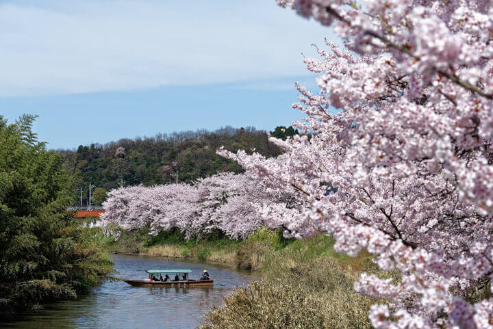 星野リゾート界 加賀「貸切船で川下り花見体験」と「桜もなかづくり」登場