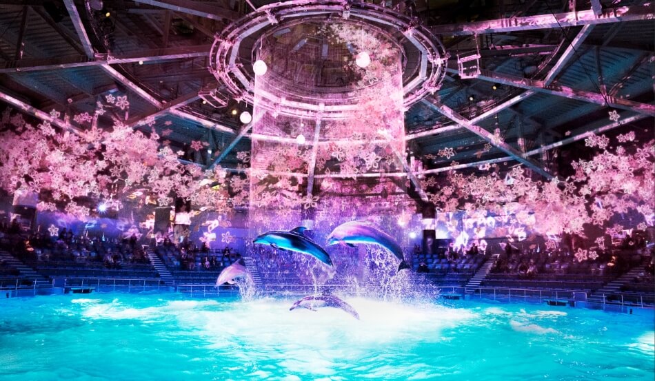 Aqua Park Shinagawa “SAKURA AQUARIUM by NAKED”