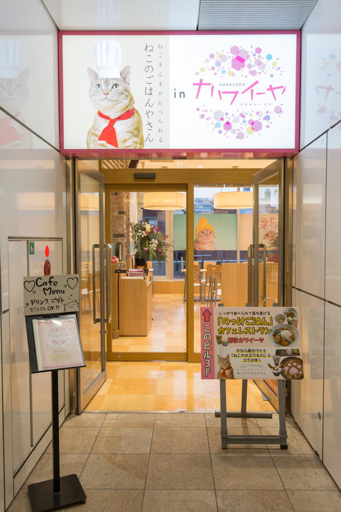 Neko no Gohanyasan opens collaboration café down Takeshita Street, Harajuku!