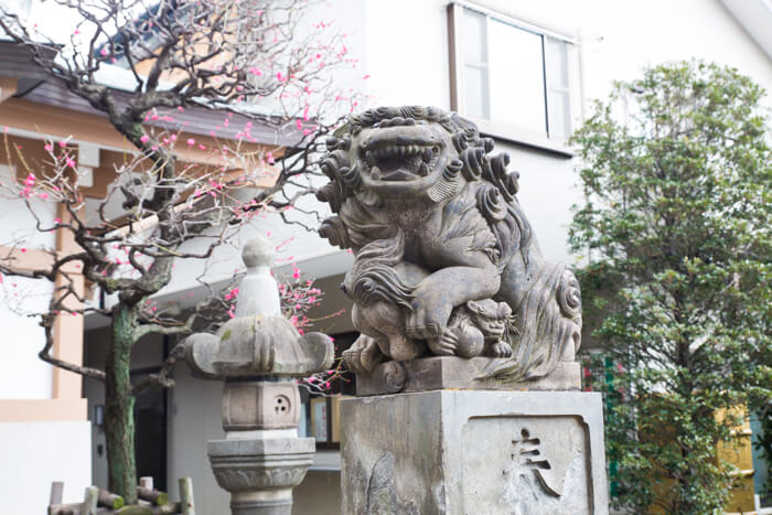 【東京散步】一起到保佑結緣和美容的穩田神社 學習參拜的禮儀吧