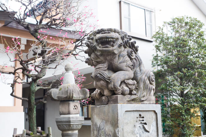 Tokyo Stroll: Learn the Manners & Etiquette of Worshipping at Onden Shrine – The Site of Marriage & Beauty Blessings