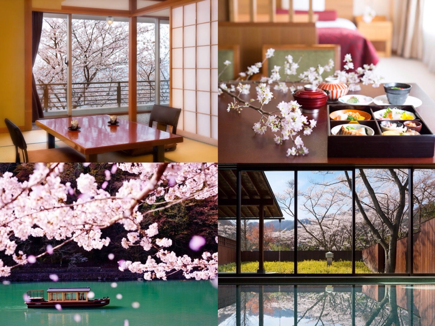 5 Hotels & Ryokan to Enjoy Cherry Blossoms: From Inside Your Room to Inside a Hot Spring!