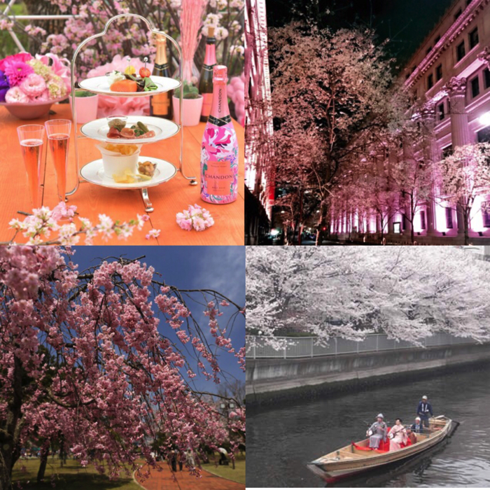 於日本各地舉辦的推薦「櫻花祭2018」統整