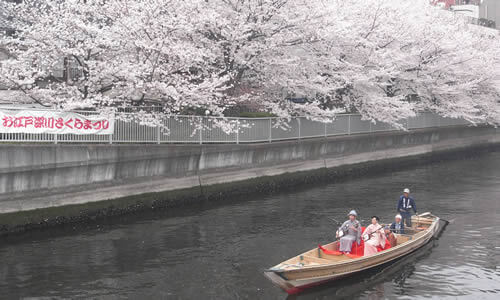 Recommended “Cherry Blossom Festivals 2018” which will be held throughout Japan