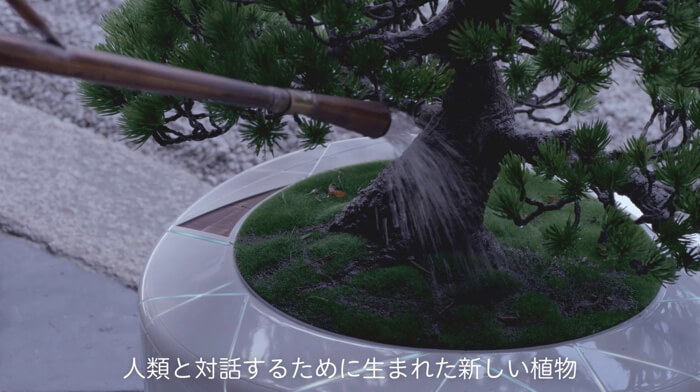 “盆栽×テクノロジー”人とのコミュニケーションが可能な「BonsAI」