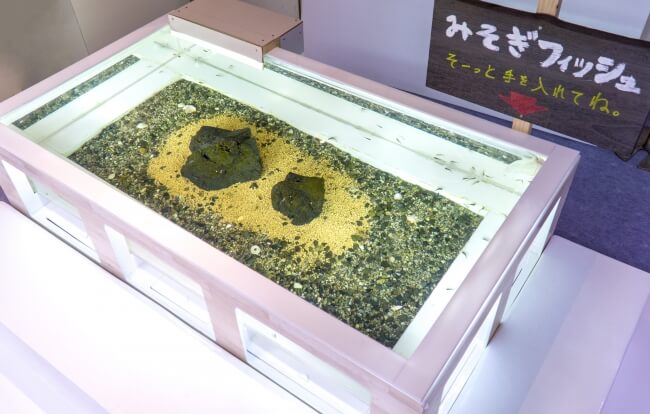 Purification Footbath Introduced at Meotoiwa Museum in Ise, Mie Prefecture