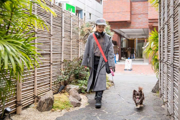 Tokyo Stroll  Shopping Sightseeing Mozuku Dog Café Kitsuné  Minamiaoyama