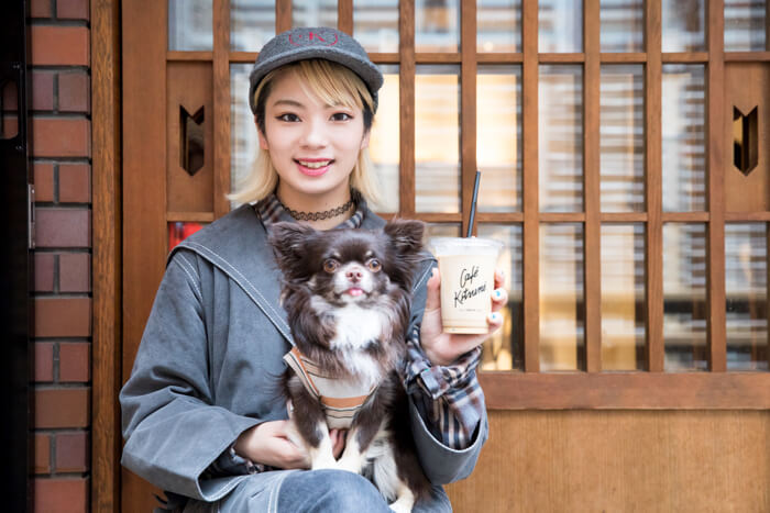 Tokyo Stroll  Shopping Sightseeing Mozuku Dog Café Kitsuné  Minamiaoyama