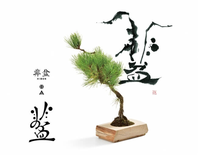 “HIBON” -startup of new type of miniature potted tree brand bonsai