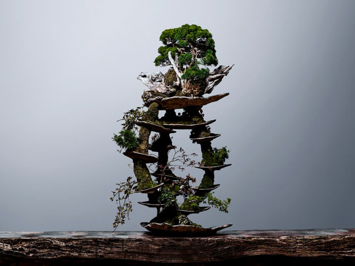 %e5%b9%b3%e5%b0%be%e6%88%90%e5%bf%97_bonsai%e3%82%a2%e3%83%bc%e3%83%88_03-2