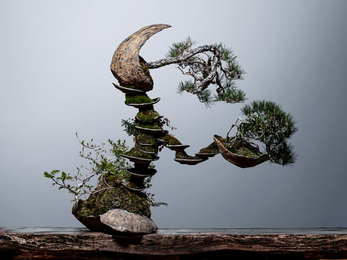 BONSAI  ART  TOKYU PLAZA