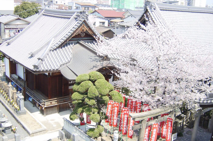 大阪・常光円満寺 巨大お釈迦様