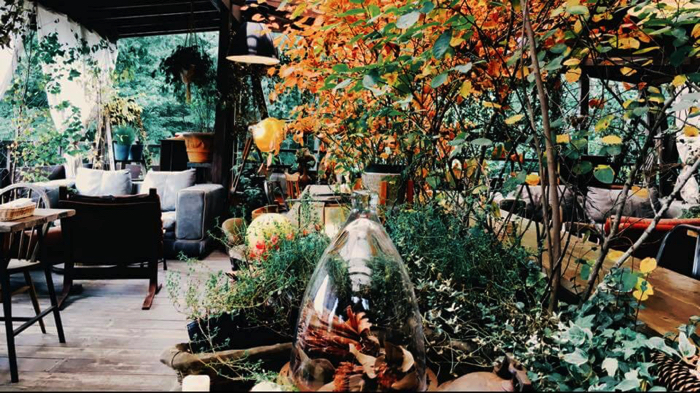 Netflix テラスハウス に出てきた軽井沢の人気カフェ7選 Moshi Moshi Nippon もしもしにっぽん