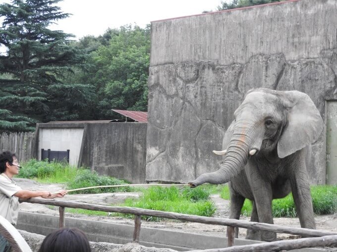 サマーナイトZOO　東武動物公園