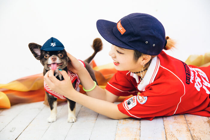 東京散步】帶著愛犬mozuku一起踏上商店&景點巡禮之旅#4 替mozuku戴上狗 ...