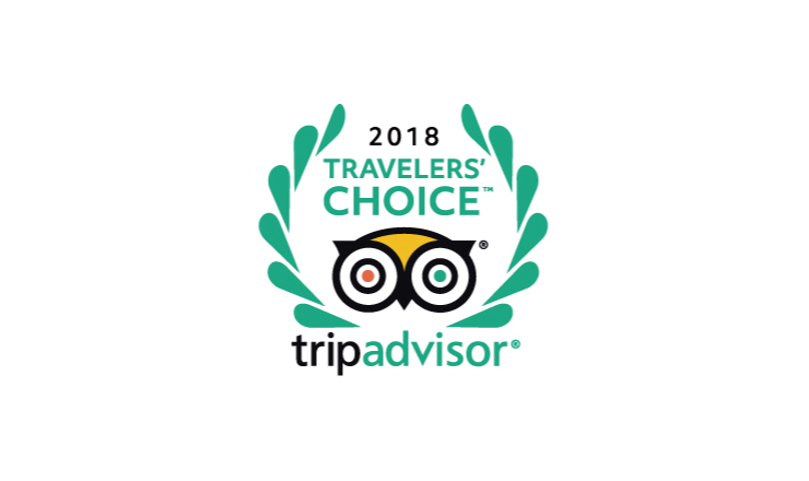 tripadvisor_main_top-2