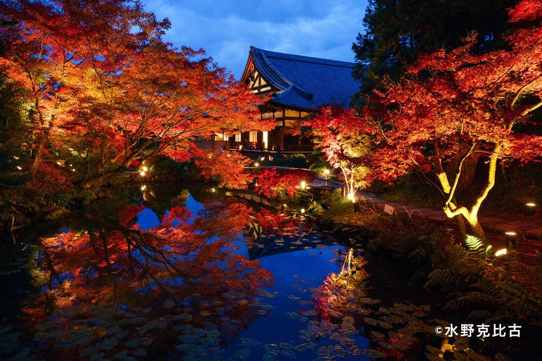 金戒光明寺 Konkaikomyoji kyoto 京都