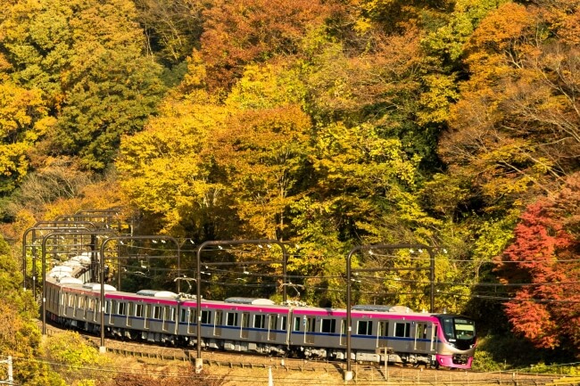 電車　train 高尾山　Mt.Takao Takaosan 新宿　shinjuku_1