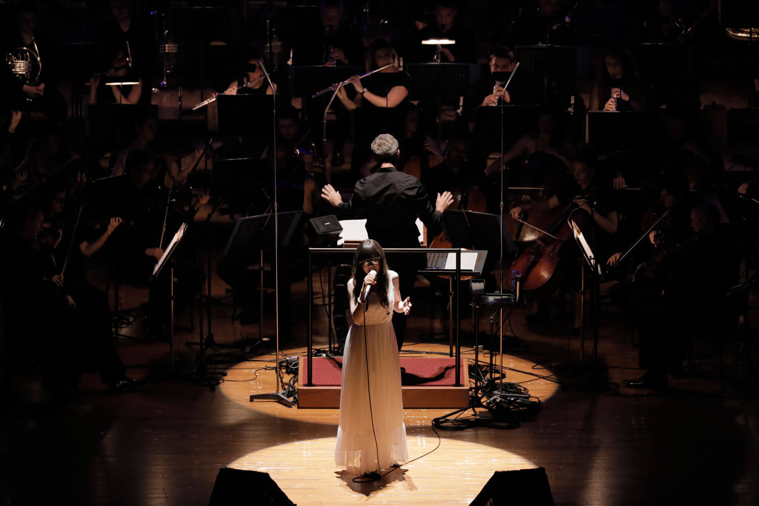 Aimer's Full Orchestra Concert at Bunkamura Orchard Hall to be Released