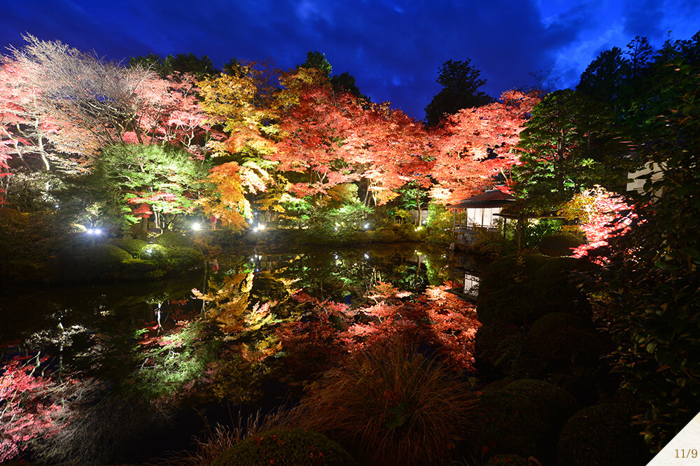 日光 輪王寺逍遥園 Shoyoen Gardens Nikko