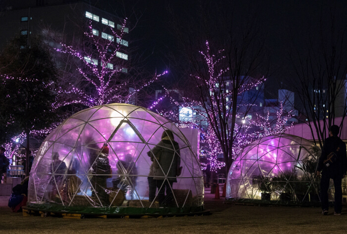 Meguro Illumination cherryblossoms 桜　目黒川イルミ_3