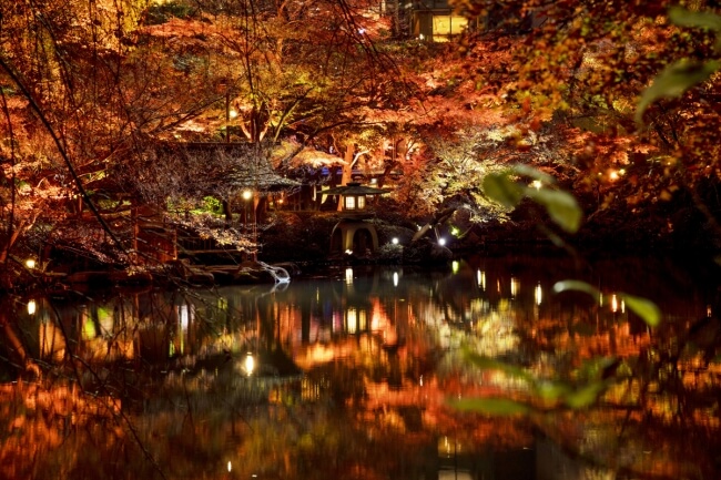 八芳園 HAPPO-EN 紅葉　autumn color _5