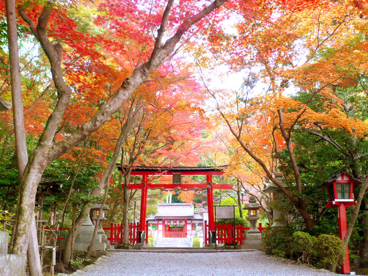 Oharano Shrine　大原野神社2