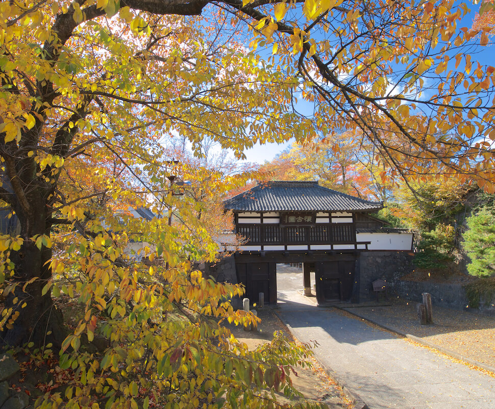 懐古園紅葉まつり Kaikoen momiji festival