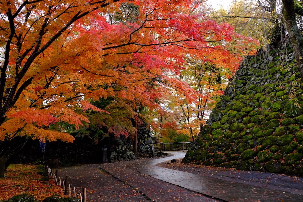 懐古園紅葉まつり Kaikoen momiji festival 1