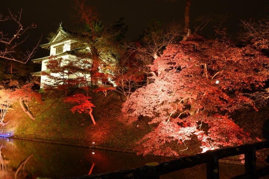 青森「弘前城　菊と紅葉まつり」Aomori autumn colors 楓葉