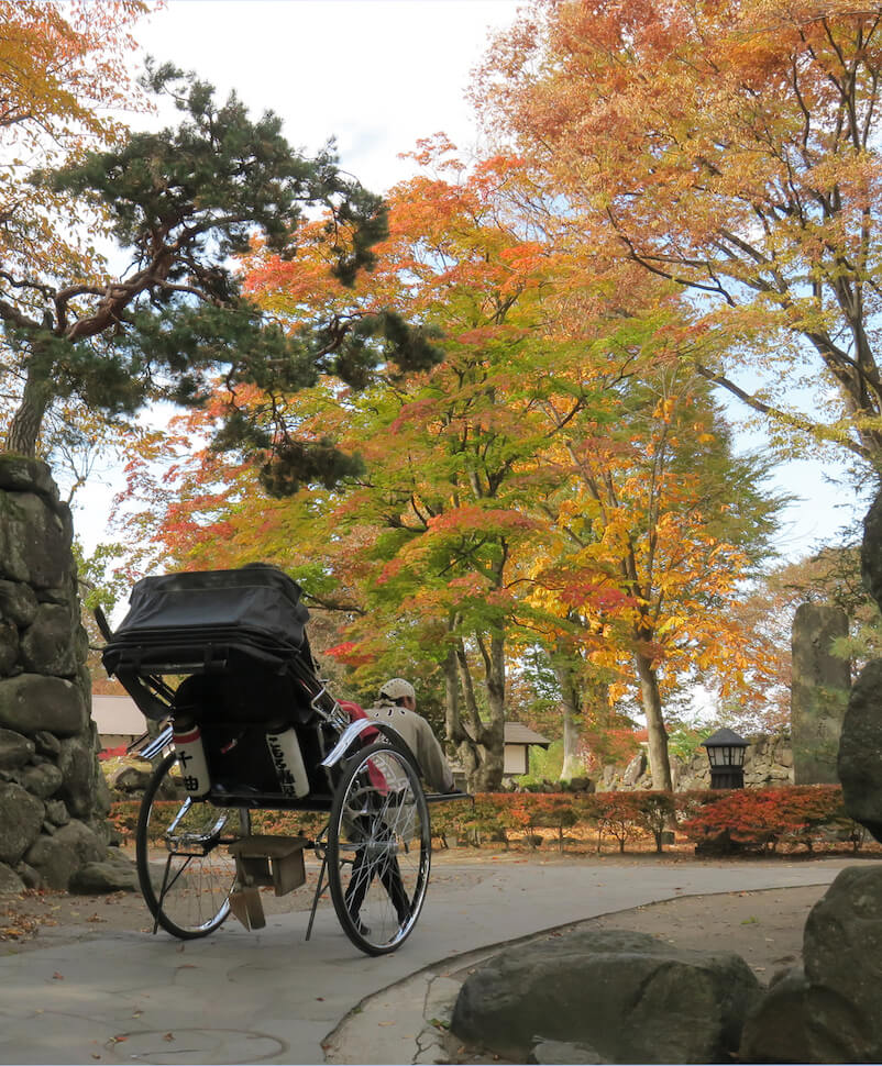 懐古園紅葉まつり Kaikoen momiji festival 5