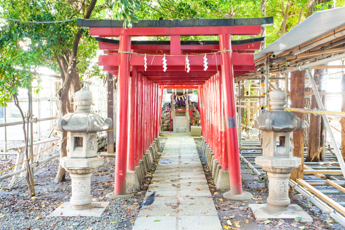 花園神社 Hanazono Shrine 御朱印 Goshuin 8663