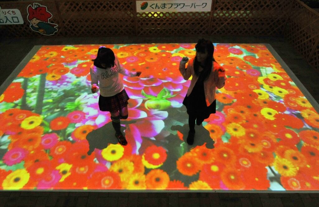 ぐんまフラワーパーク Gunma flower park illumination 群馬6