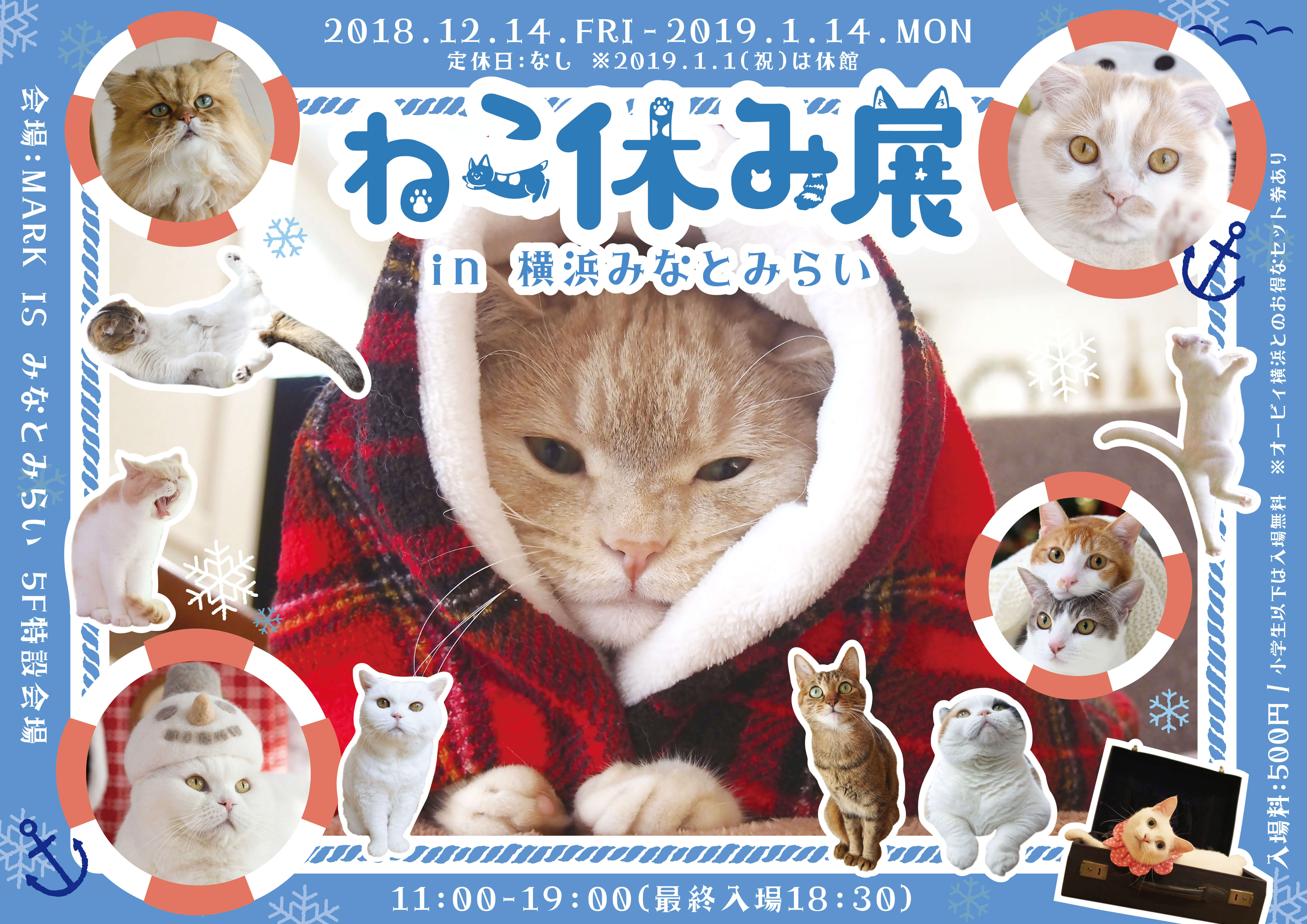 ねこ休み展 neko yasumiten 猫4