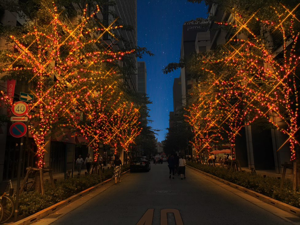 真紅の光街～日本橋 ～ nihonbashi illumination_江戸桜イルミネーション②