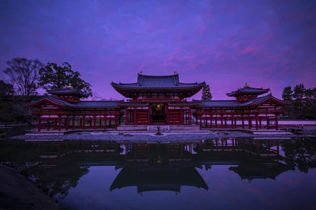 平等院　byodoin 春はあけぼのツアー 京都　kyoto