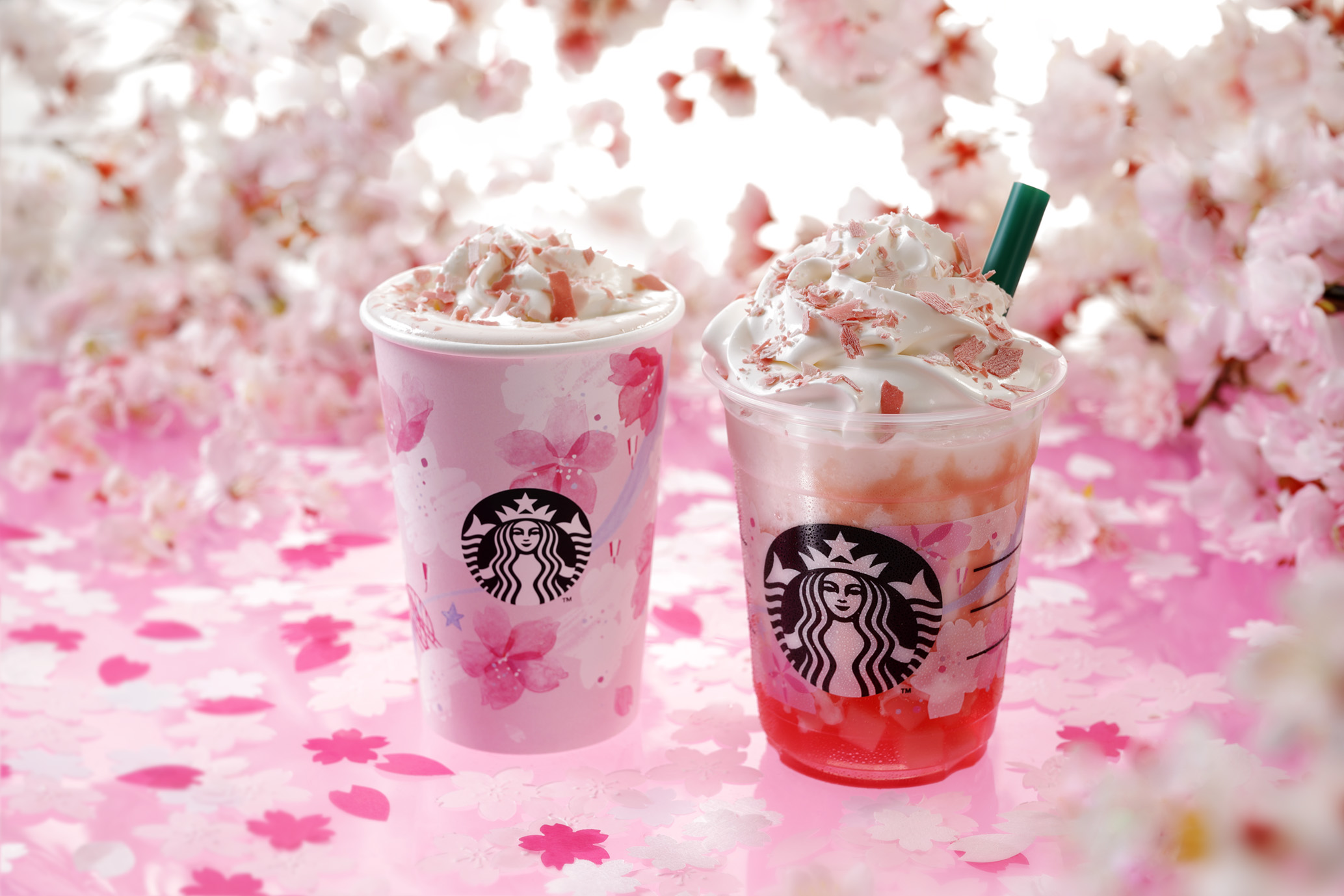 スタバ　桜　Starbucks 2019 SAKURA_big_RGBfix