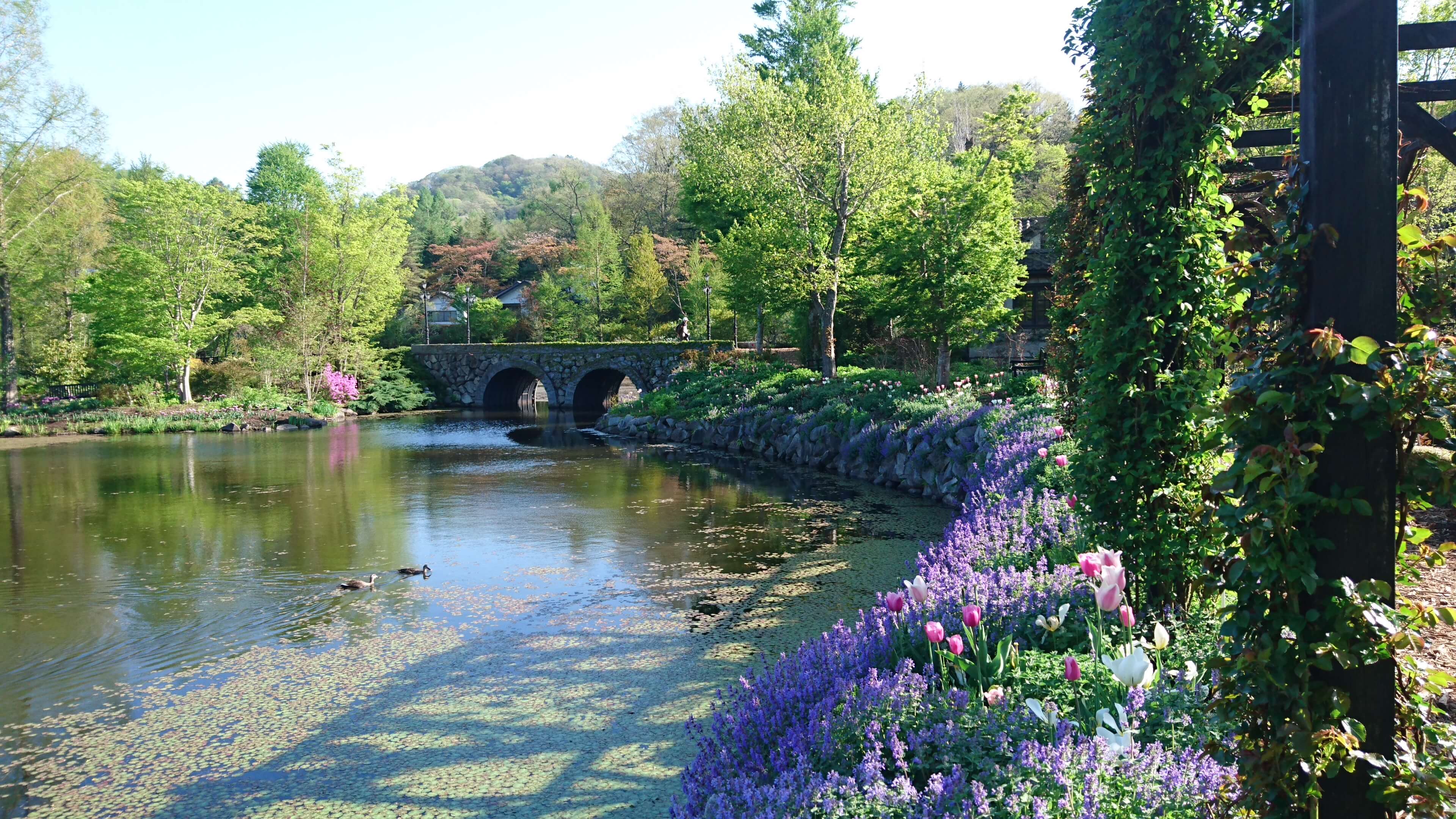 軽井沢レイクガーデン karuizawa-lakegarden