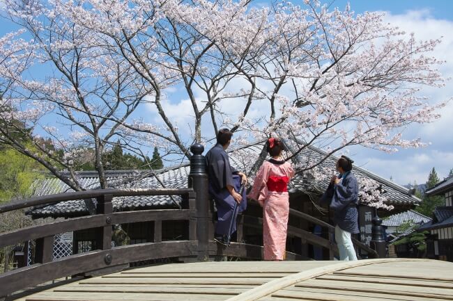 日光江戸村　江戸ワンダーランド　Edo Wonderland Nikko Cherry Blossoms 桜　お花見_1