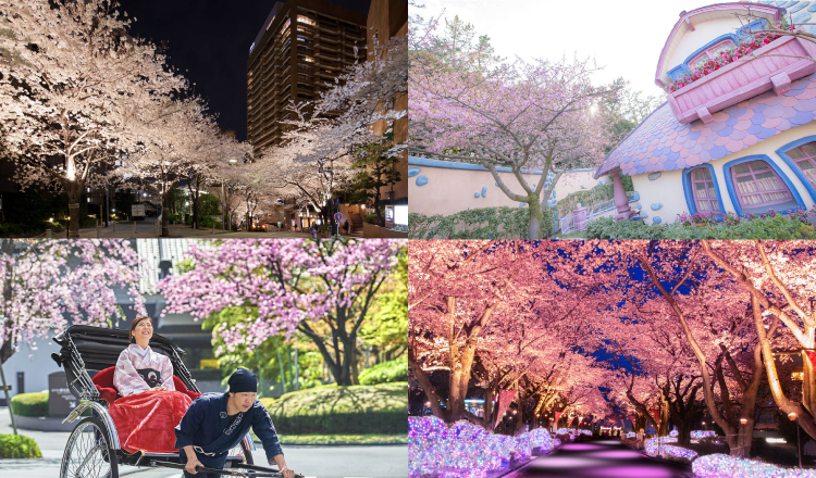 関東　オススメ　桜　お花見　東京　Tokyo-Cherry-blossoms-recommend